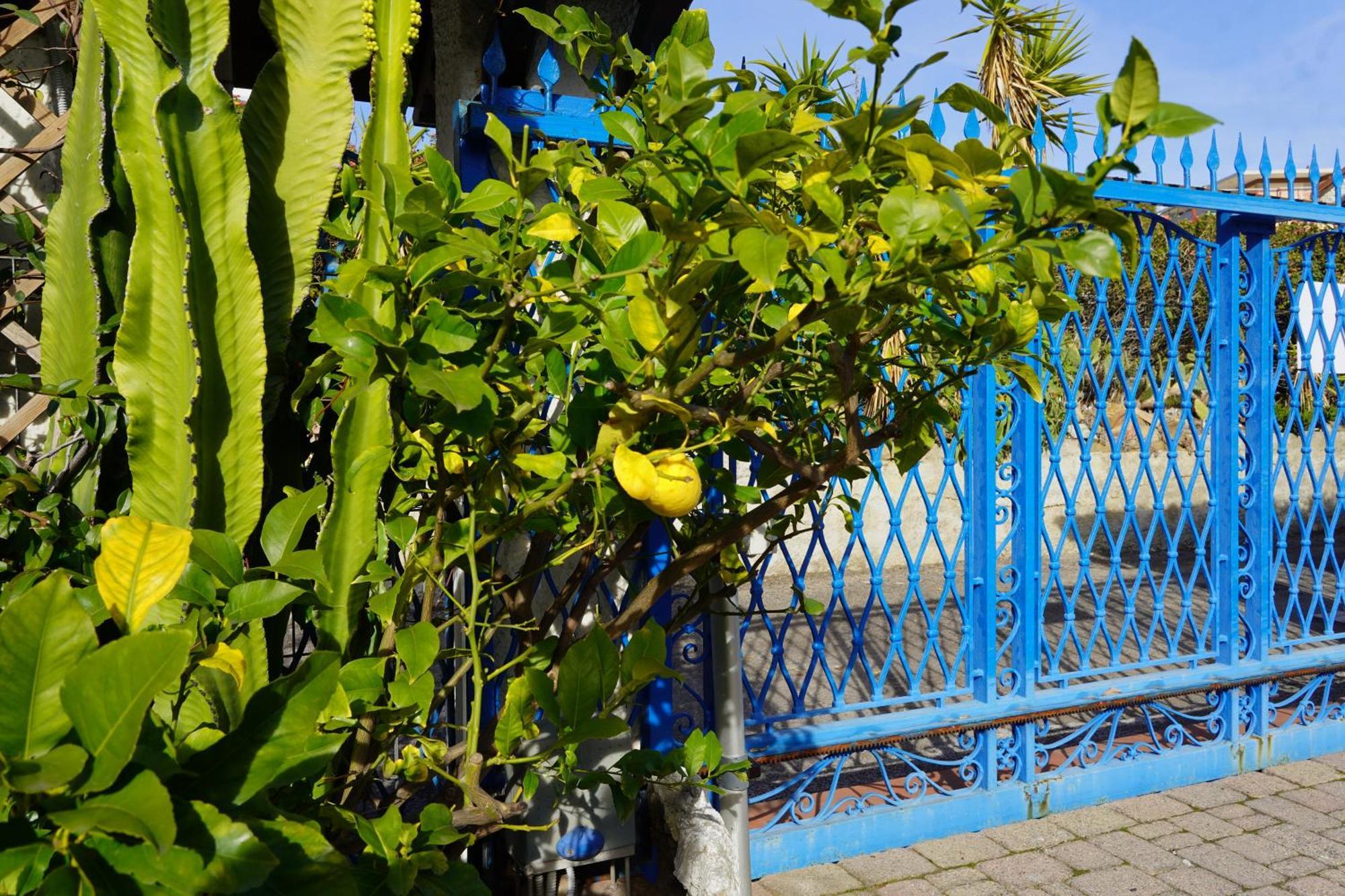 Villa Rita Sea Front View Sanremo - Parcheggio Gratuito In Struttura Dış mekan fotoğraf